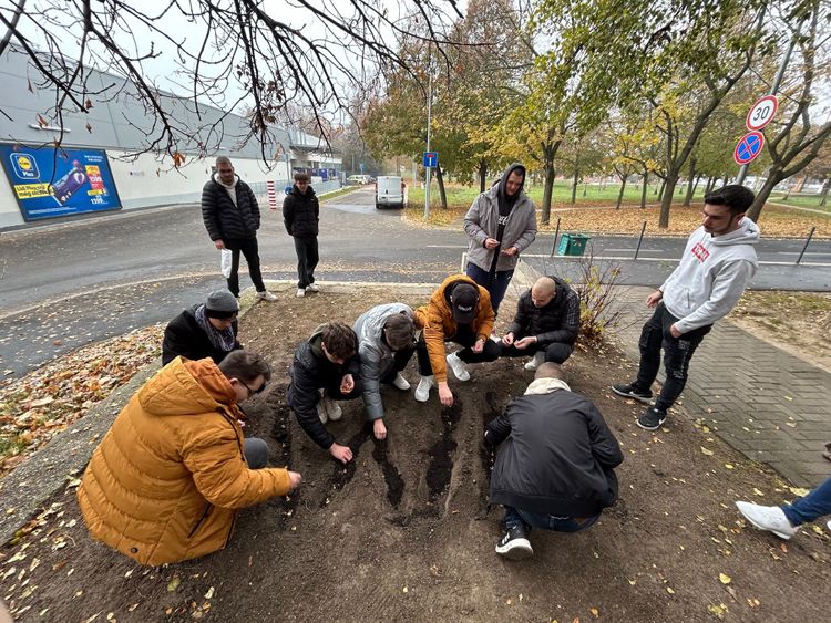 Krókusz Projekt – Virággal az erőszak ellen